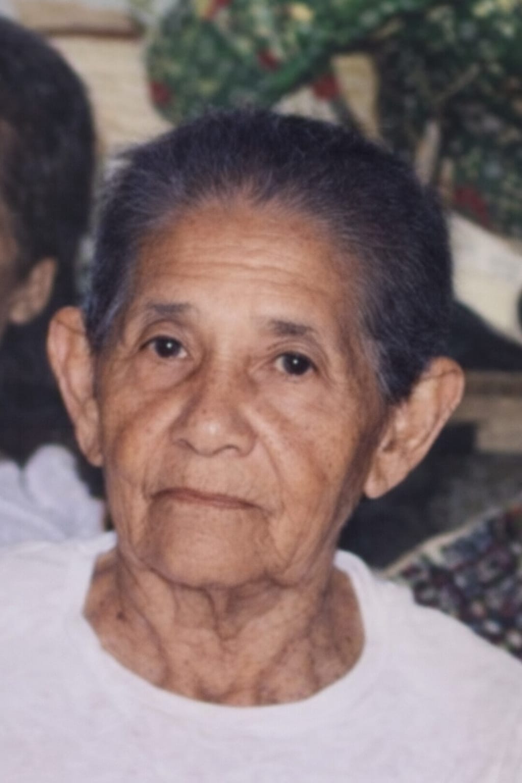 Família Nascimento & Vale